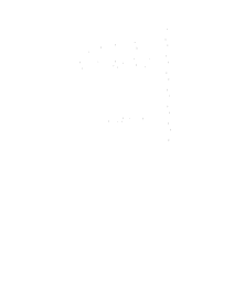 Dijital Pasaport